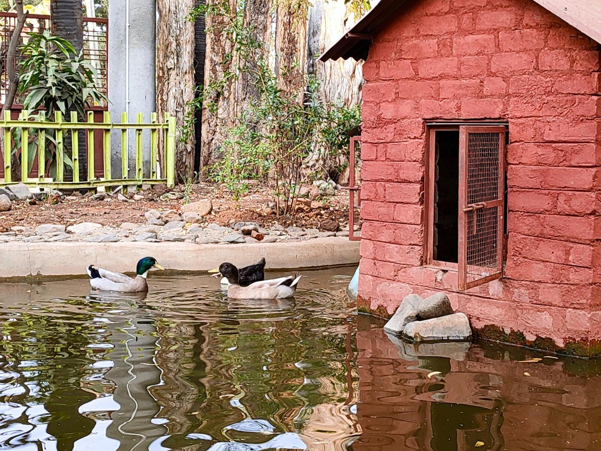 Van Vagdo Resort Rajpipla المظهر الخارجي الصورة
