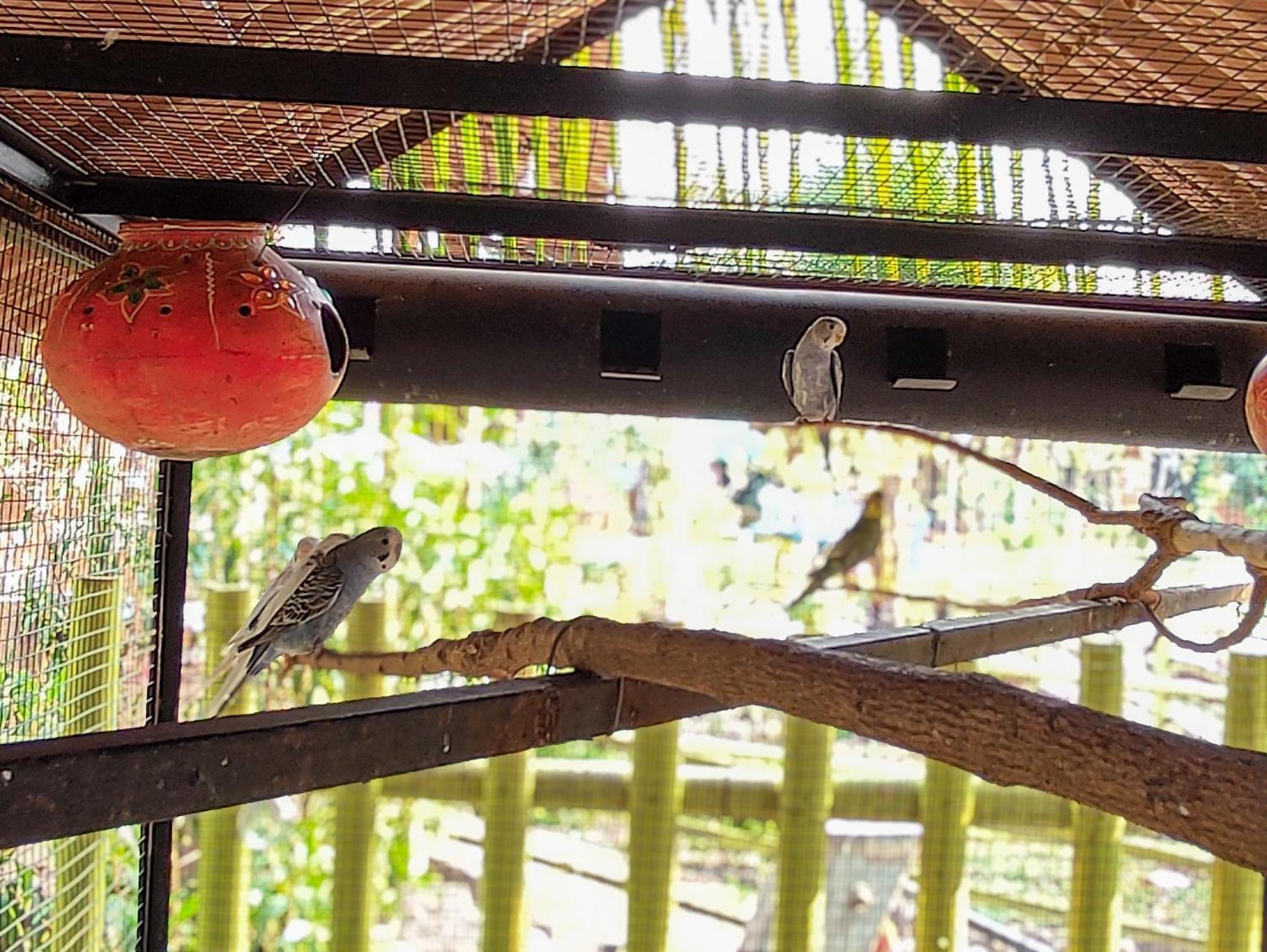 Van Vagdo Resort Rajpipla المظهر الخارجي الصورة
