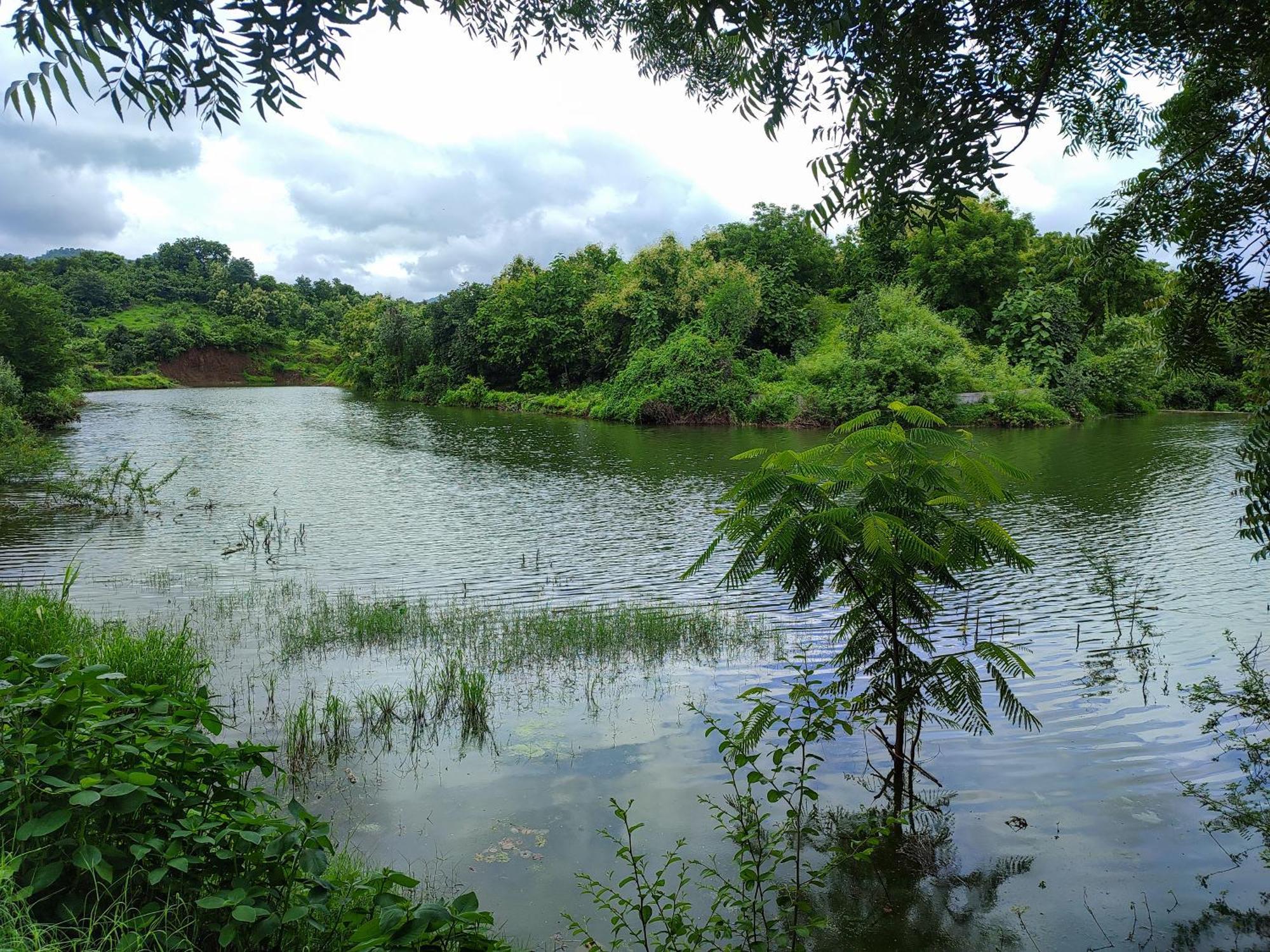 Van Vagdo Resort Rajpipla المظهر الخارجي الصورة